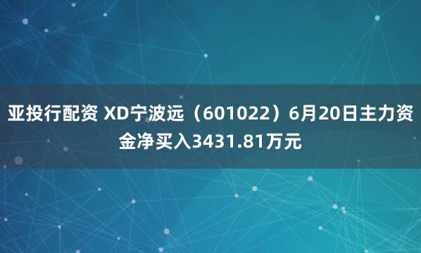 亚投行配资 XD宁波远（601022）6月20日主力资金净买入3431.81万元