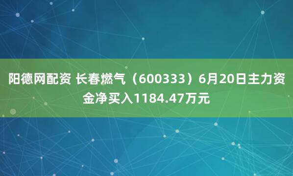 阳德网配资 长春燃气（600333）6月20日主力资金净买入1184.47万元